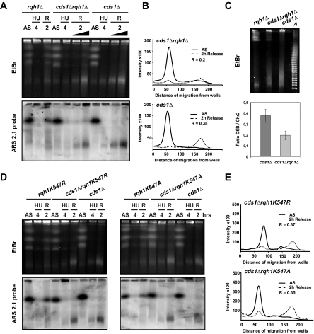 Figure 6.