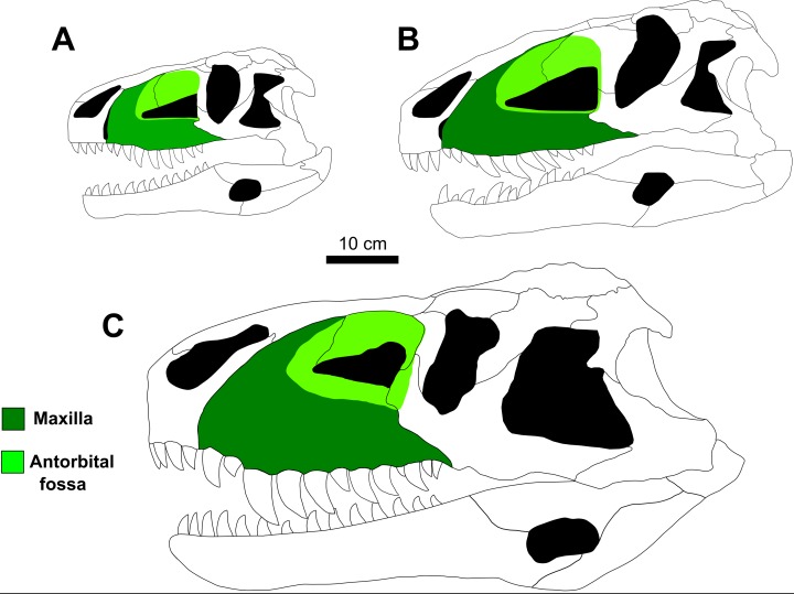 Figure 25