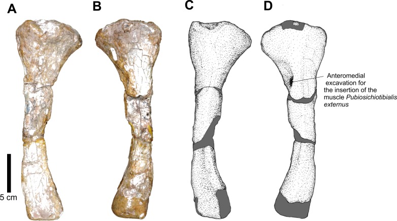 Figure 22