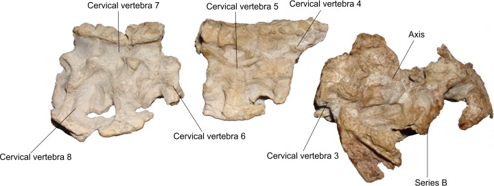 Figure 15