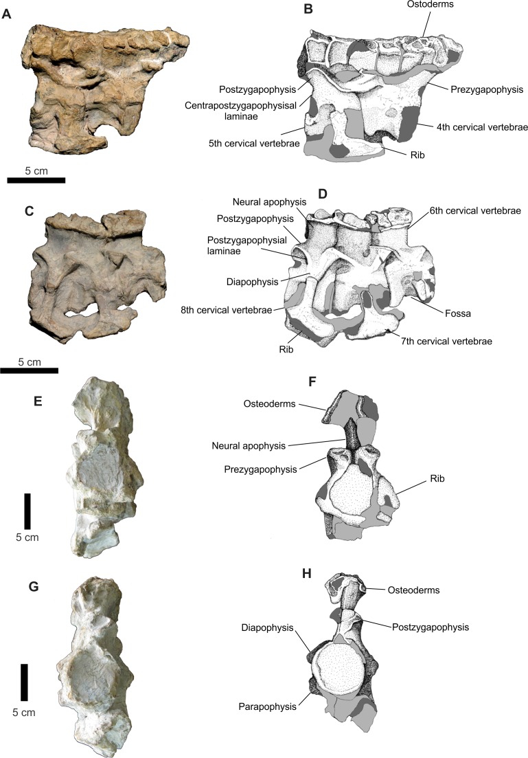 Figure 16