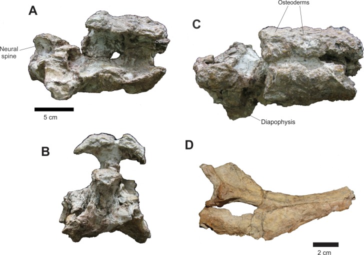 Figure 17