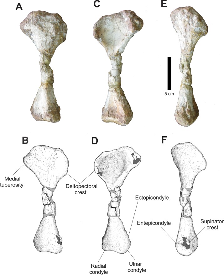 Figure 19