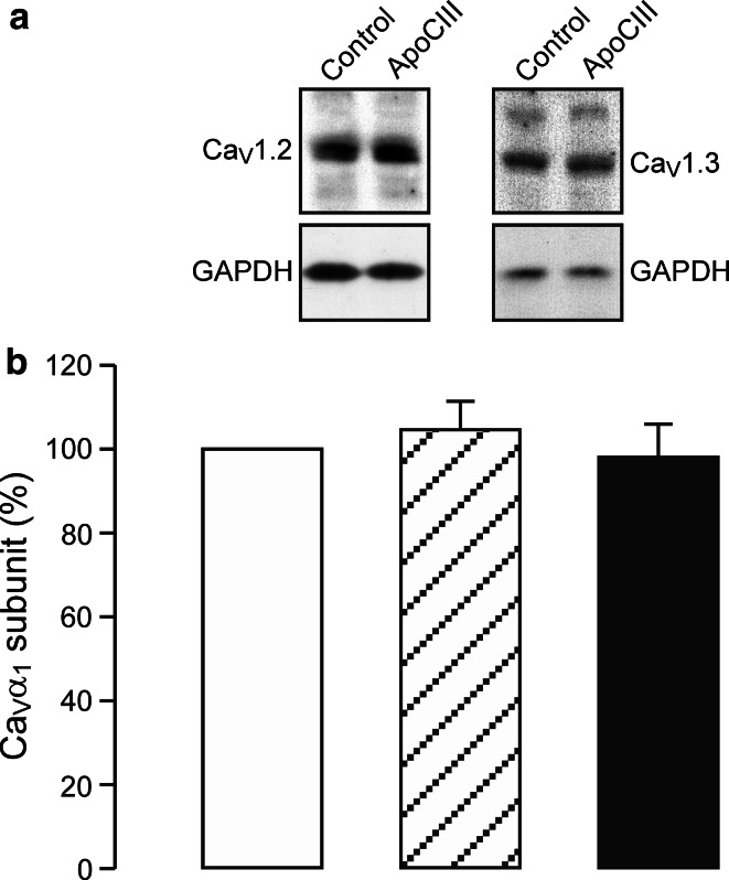 Fig. 6