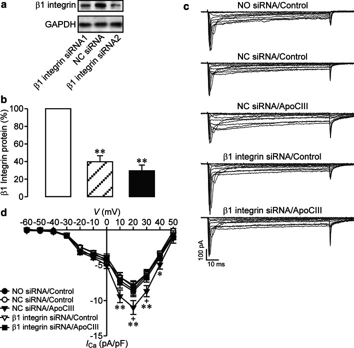 Fig. 7