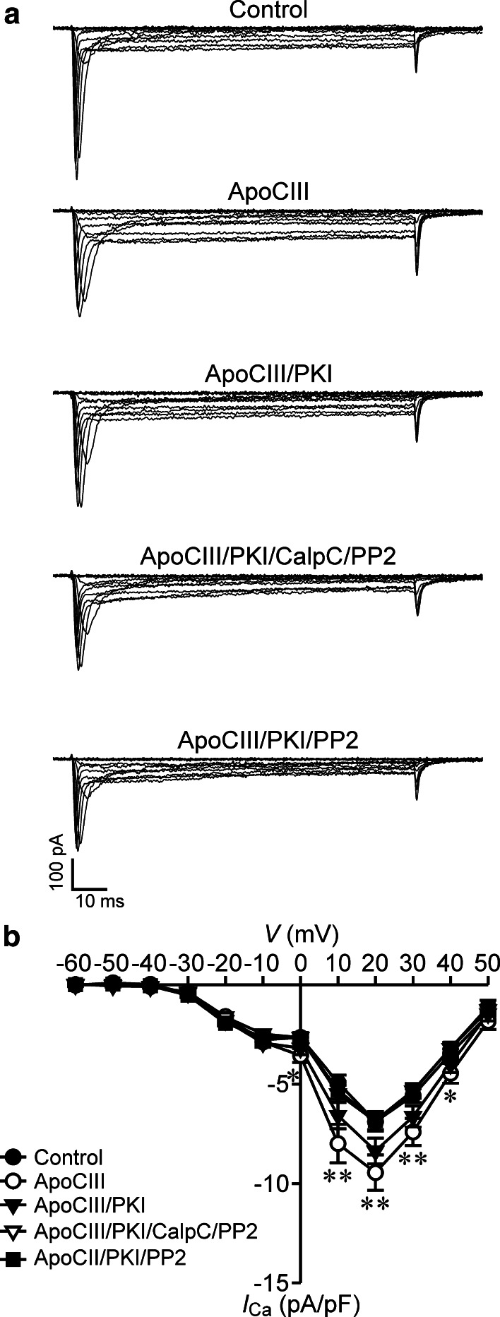 Fig. 4