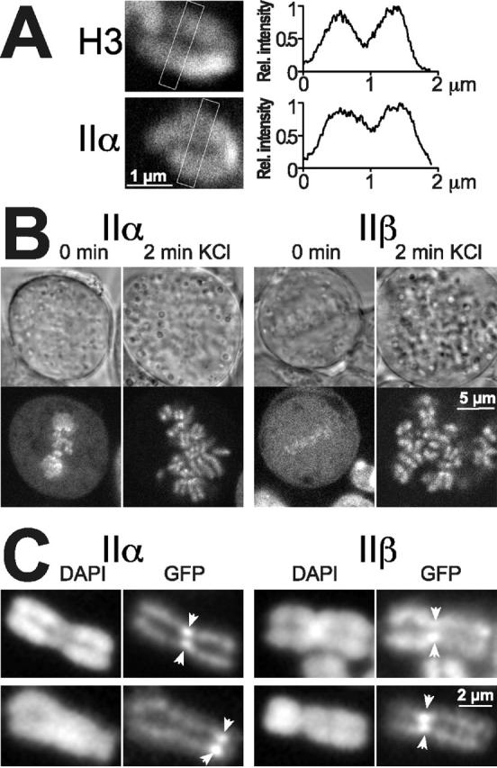 Figure 9.