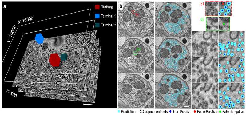 Figure 3: