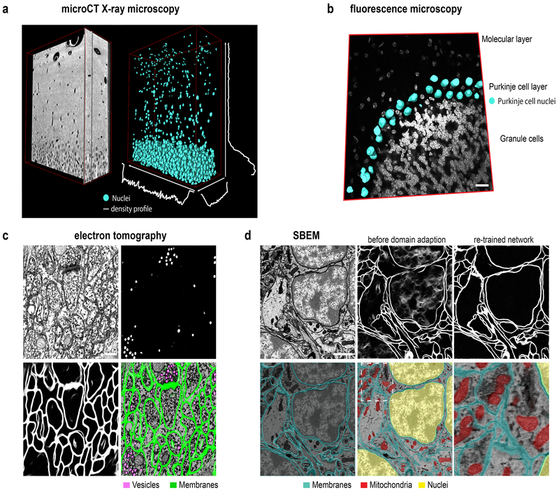 Figure 2: