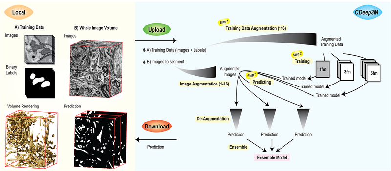 Figure 1: