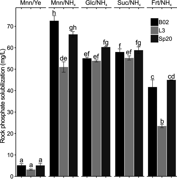 FIG 1