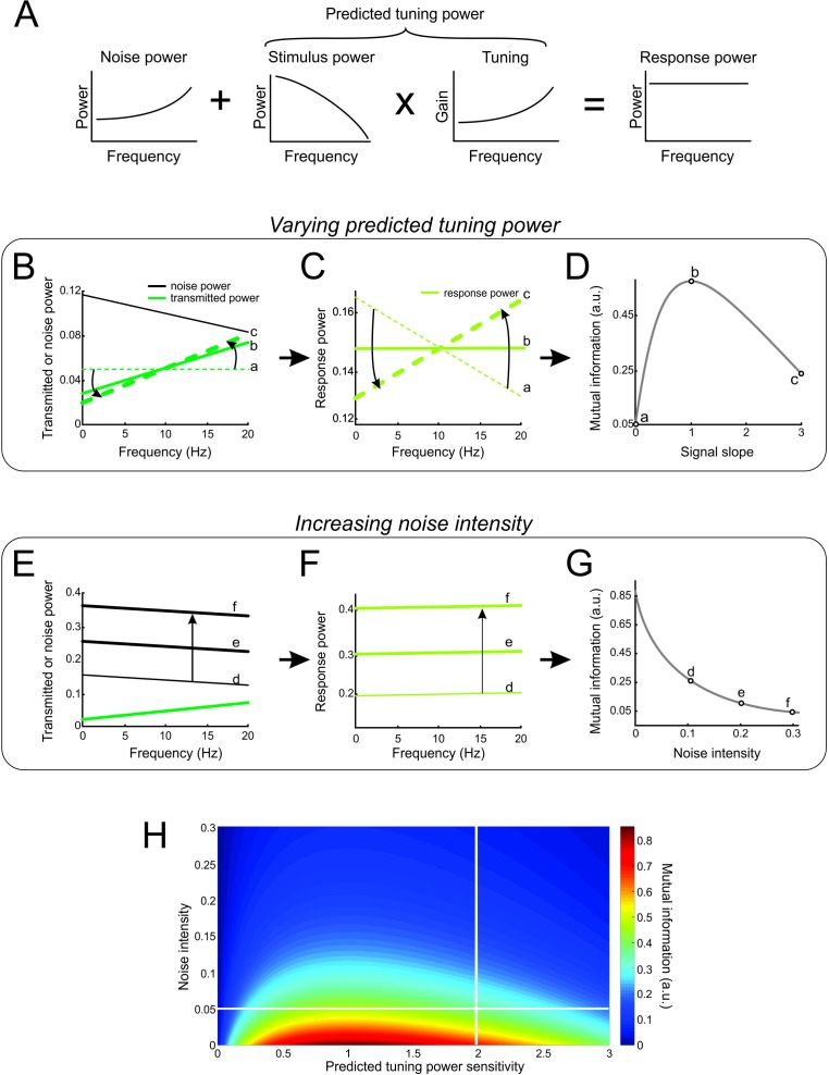 Figure 4—figure supplement 4.