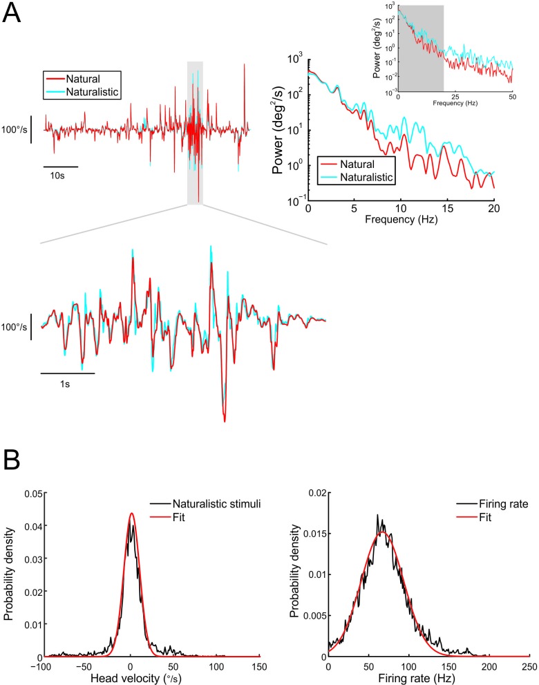 Figure 1—figure supplement 1.