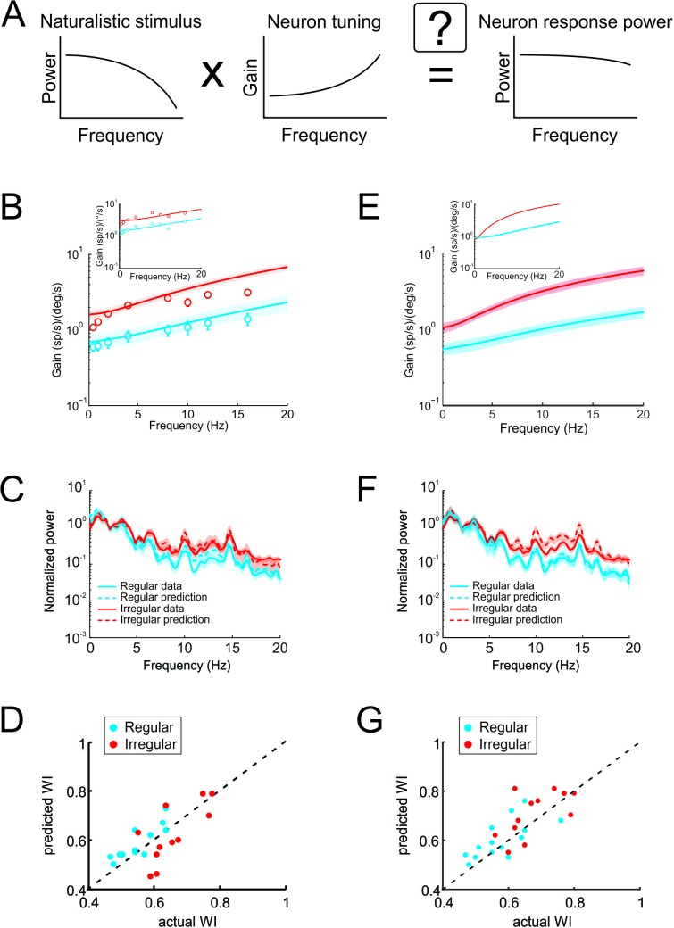 Figure 4—figure supplement 3.