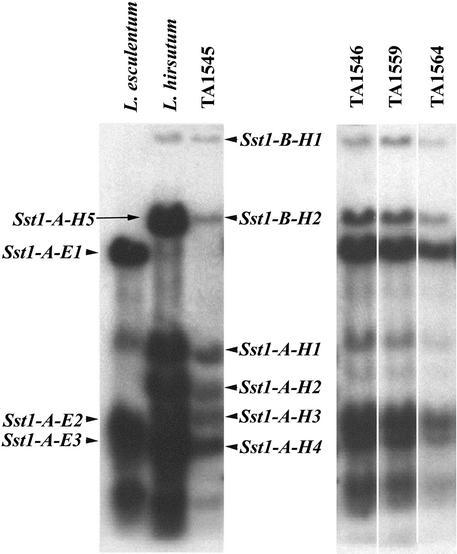 Figure 3.