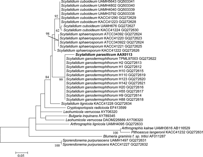 Fig. 3