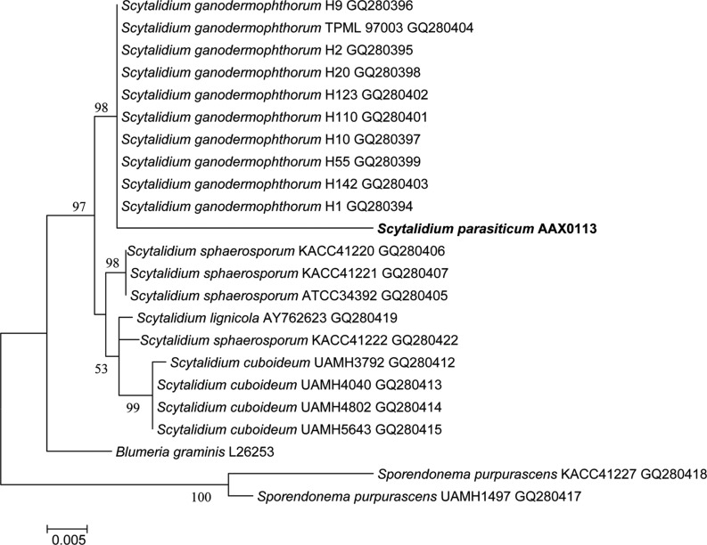 Fig. 4