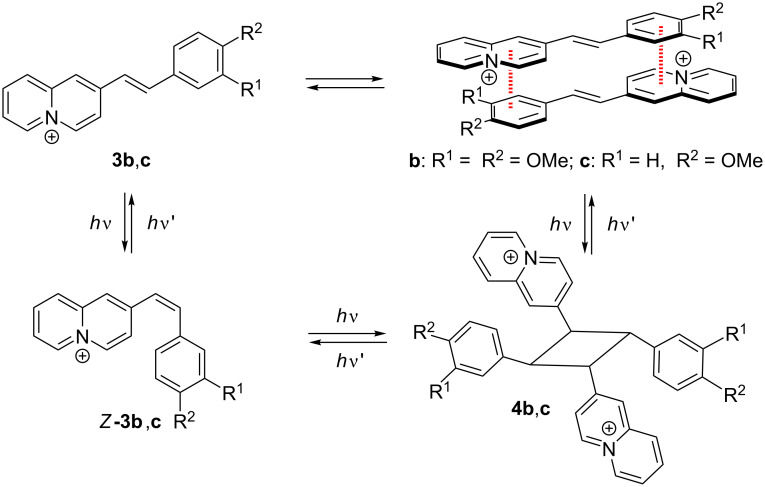 Scheme 2