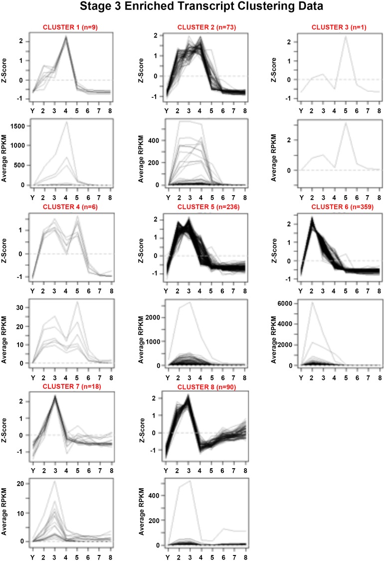 Figure 1—figure supplement 5.