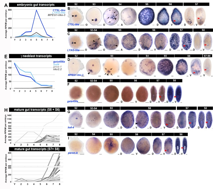 Figure 1—figure supplement 13.