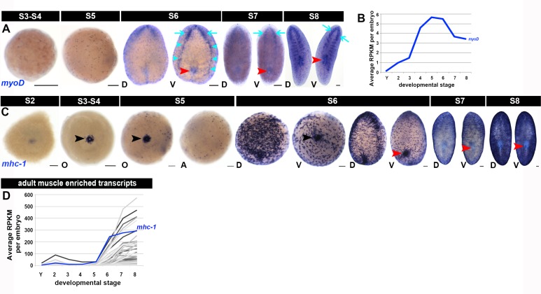 Figure 1—figure supplement 17.