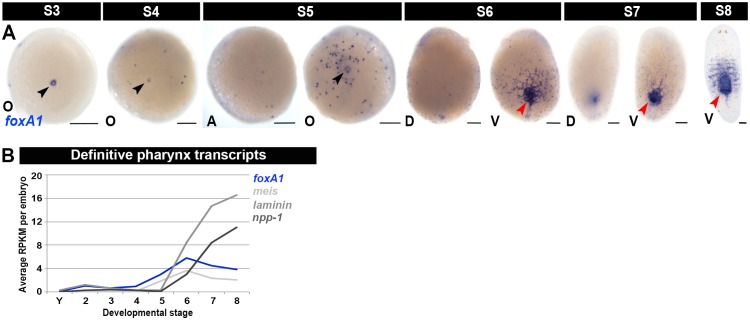 Figure 1—figure supplement 14.