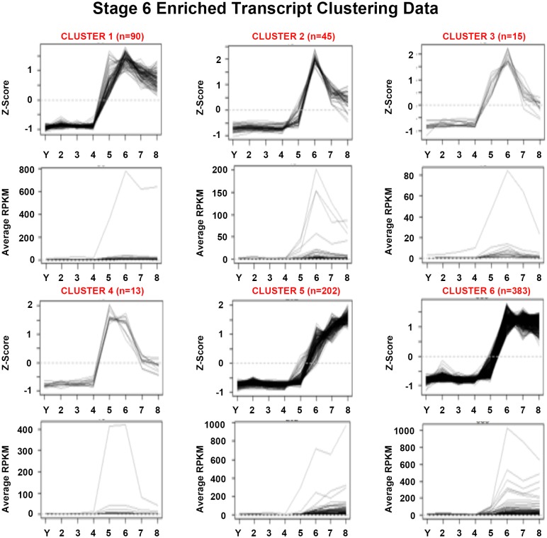 Figure 1—figure supplement 8.