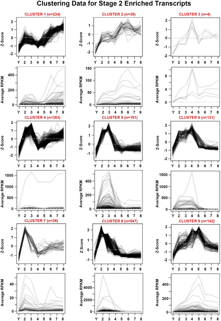 Figure 1—figure supplement 4.