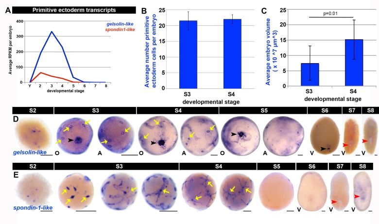 Figure 1—figure supplement 11.