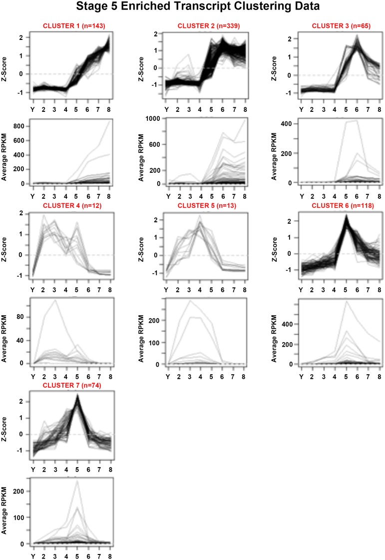 Figure 1—figure supplement 7.