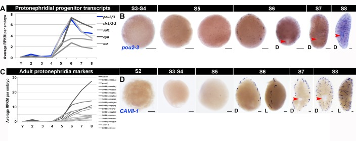 Figure 1—figure supplement 18.