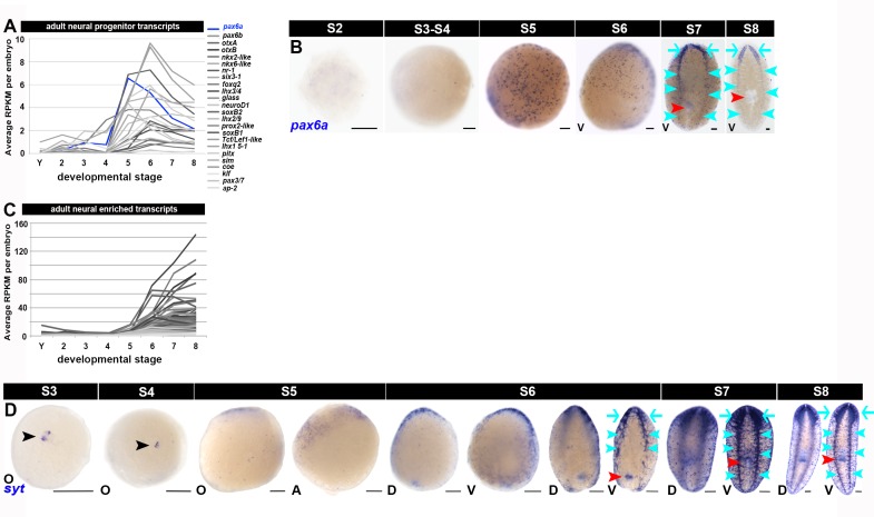 Figure 1—figure supplement 16.