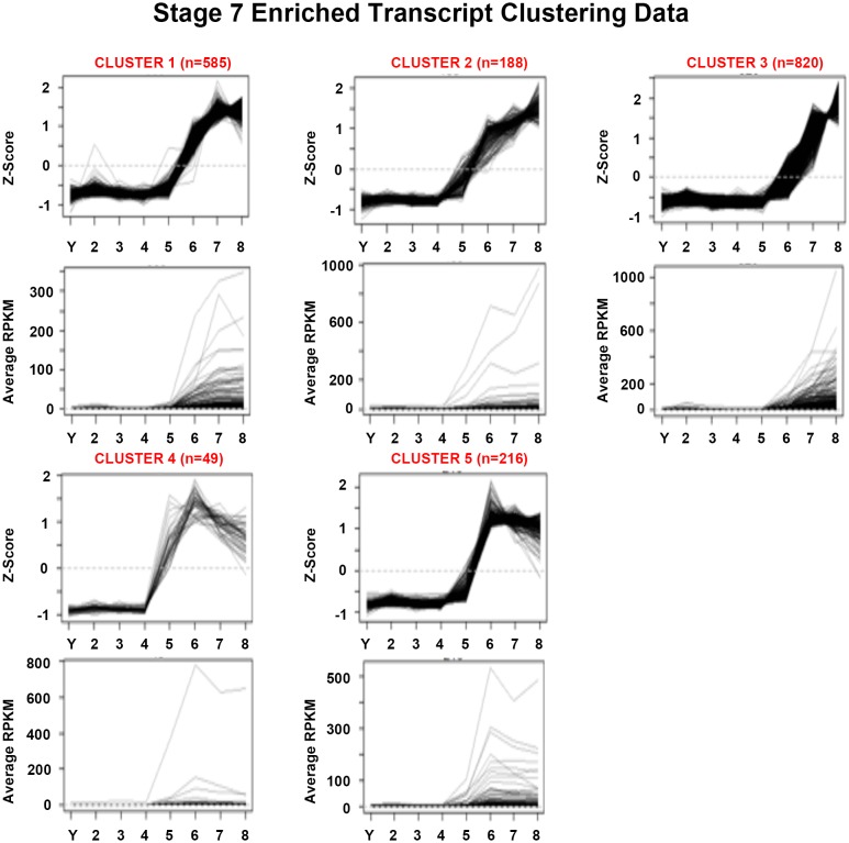 Figure 1—figure supplement 9.