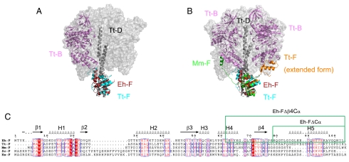 Fig. 4.