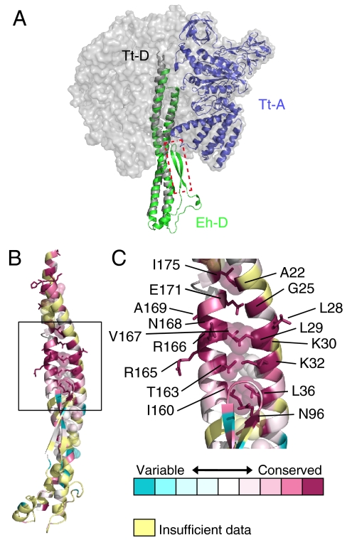 Fig. 3.