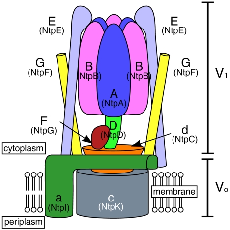 Fig. 1.