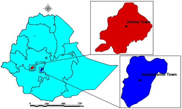 Fig 1