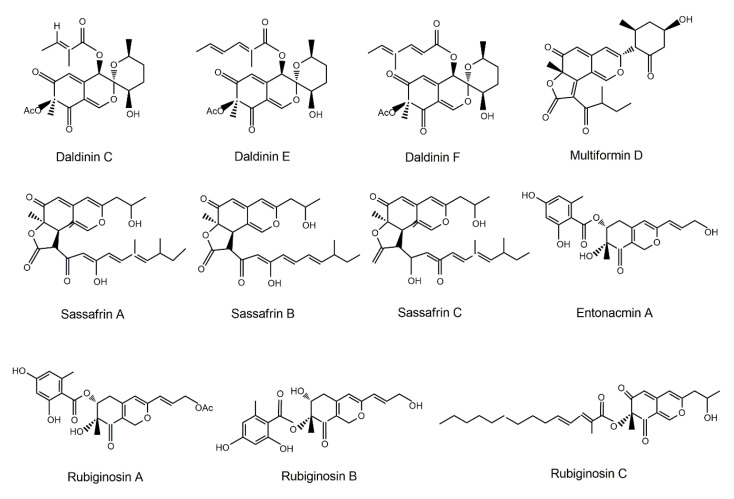 Figure 13