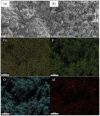 Fig. 22