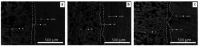 Fig. 20