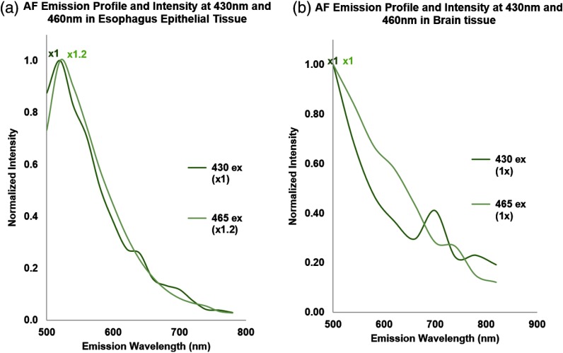 Fig. 12