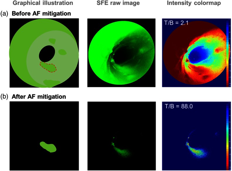 Fig. 10