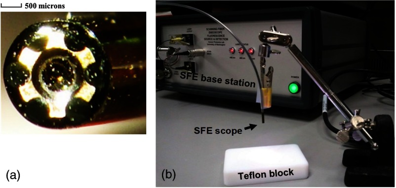 Fig. 1