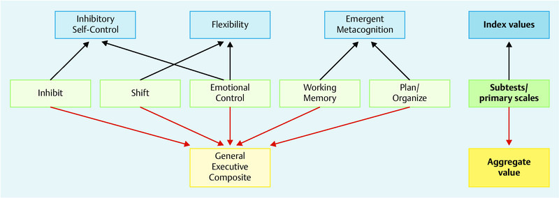 Fig. 1