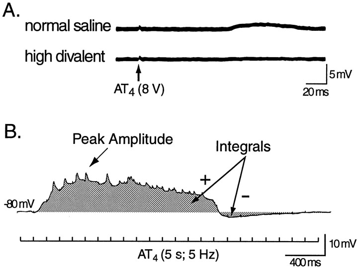 Fig. 9.