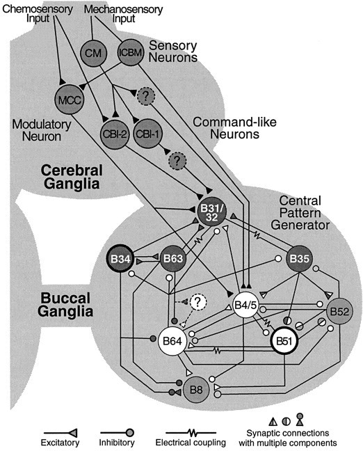 Fig. 1.