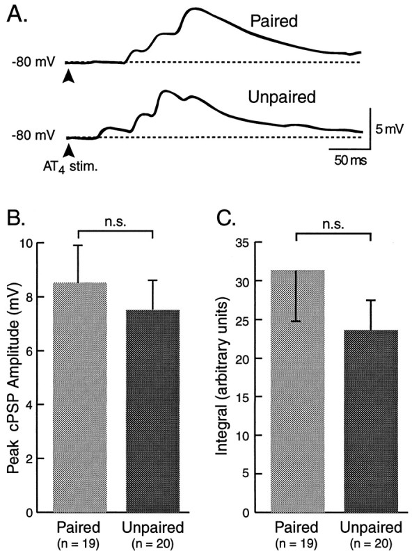 Fig. 11.