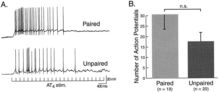 Fig. 12.