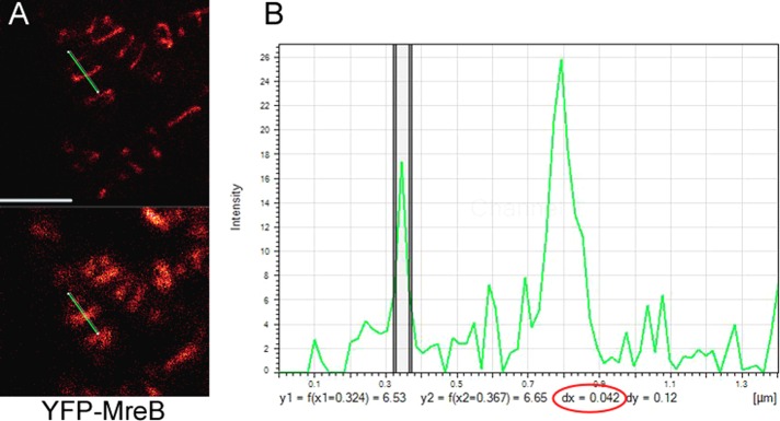 FIGURE 6: