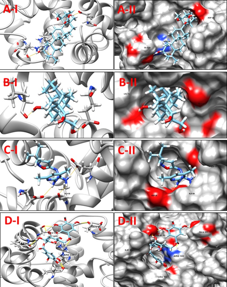 Fig 6